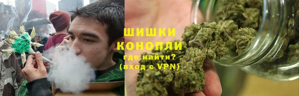 сатива Алексин