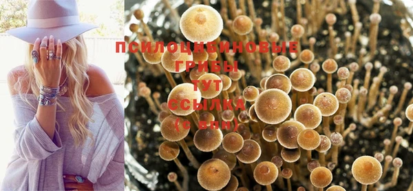 хмурый Алзамай