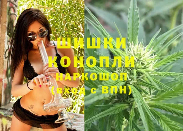 сатива Алексин