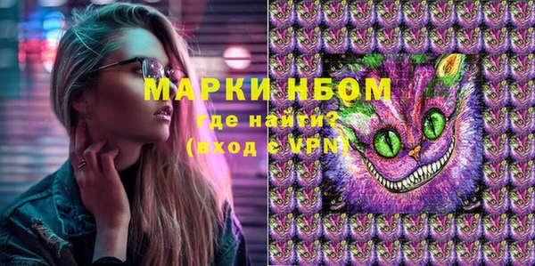 хмурый Алзамай