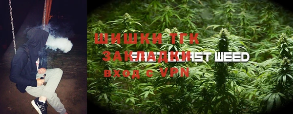 сатива Алексин