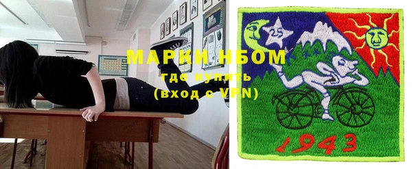 хмурый Алзамай