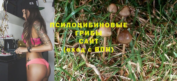 каннабис Алексеевка