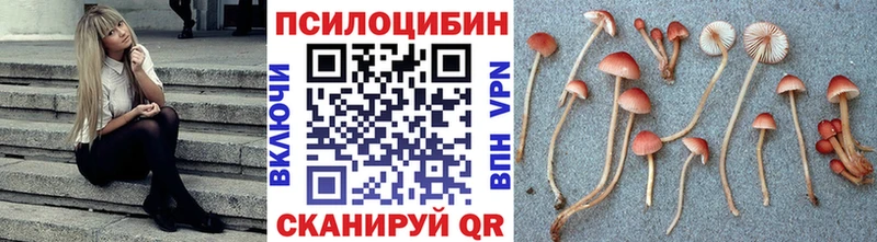 Псилоцибиновые грибы мухоморы  OMG ССЫЛКА  Шелехов 